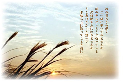 今月の詩